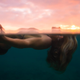 Illustration for article titled The beautiful and surreal sensuality of Sarah Lees underwater photos